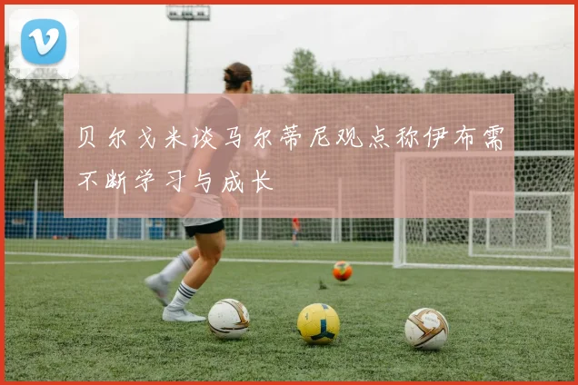 贝尔戈米谈马尔蒂尼观点称伊布需不断学习与成长
